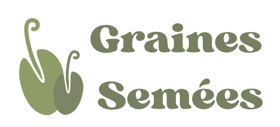 Graines semées